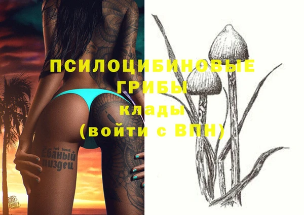 винт Магас
