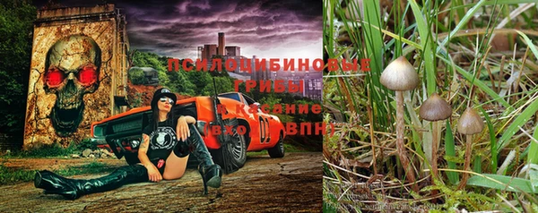 метадон Магадан