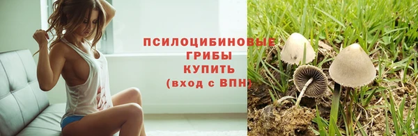 винт Магас